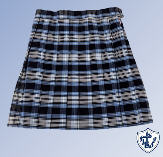 All Pleated Skirt  (22-16)-Plaid : 10