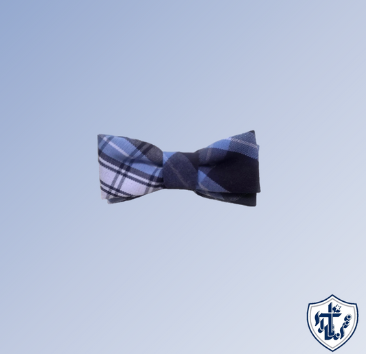 pair of small bows-2 plaid bows : small
