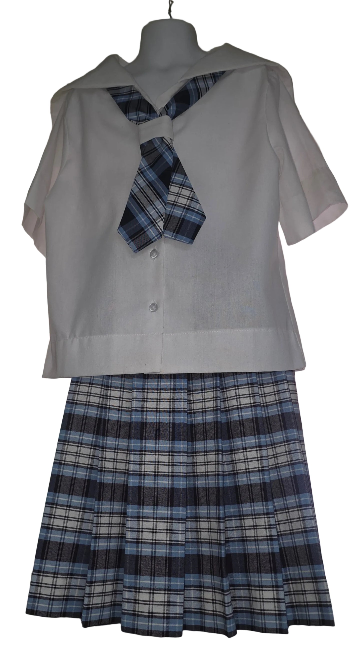 All Pleated Skirt Half (22-16)-Plaid : 14.5