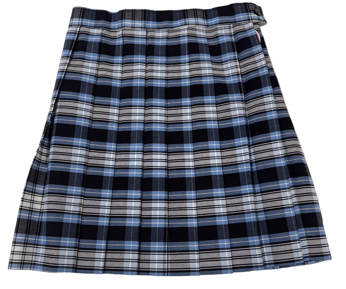 All Pleated Skirt  (22-16)-Plaid : 10